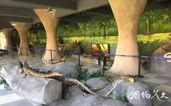 厦门南顺鳄鱼园（已关闭）旅游攻略之展区
