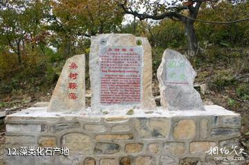 蓟县中上元古界地层剖面国家级自然保护区-藻类化石产地照片