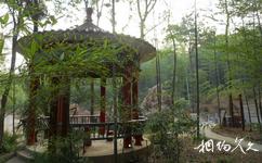 安慶蓮洞國家森林公園旅遊攻略之聽雨亭