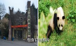 南京红山森林动物园驴友相册
