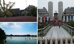 泰州凤城河风景区驴友相册