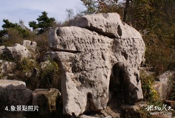 元古奇石林風景區-象照片