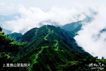 安徽萬佛山國家森林公園-萬佛山照片