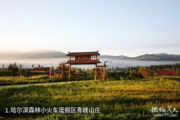哈尔滨森林小火车度假区青峰山庄照片