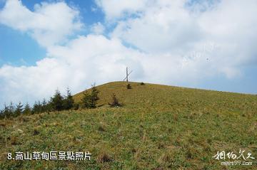 山西靈石紅崖峽谷-高山草甸區照片