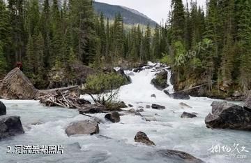 加拿大幽鶴國家公園-河流照片