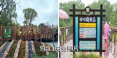 崇明西沙国家湿地公园驴友相册