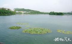 惠州西湖旅游攻略之南湖景区