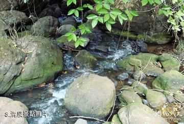 祿豐龍馬河-清泉照片