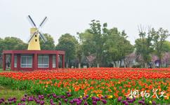 苏州中国花卉植物园旅游攻略