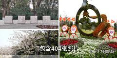 上海顾村公园驴友相册