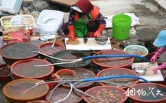 韩国太宗台旅游攻略之卖海鲜的渔夫