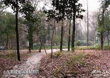 杭州野生動物世界-生態緩衝區照片