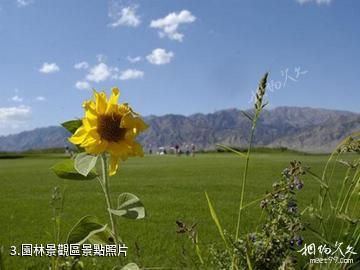 巴彥淖爾維信國際高爾夫度假村-園林景觀區照片