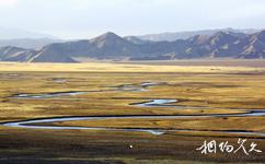 甘肅鹽池灣國家級自然保護區旅遊攻略之河流濕地