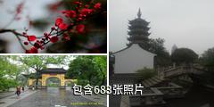 常州红梅公园驴友相册