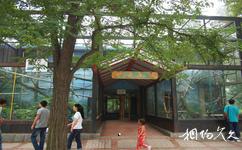 北京动物园旅游攻略之热带小猴馆