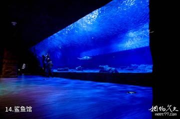 重庆汉海海洋公园-鲨鱼馆照片