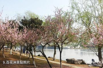 蘇州胥門百花洲公園-百花洲照片