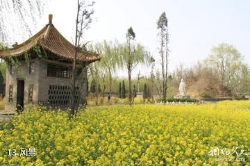 邯郸兰陵王墓-风景照片