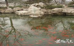 济南五龙潭公园旅游攻略之净池