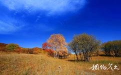 赤峰乌兰布统草原旅游攻略之色彩斑斓