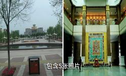 青海藏医药文化博物馆驴友相册