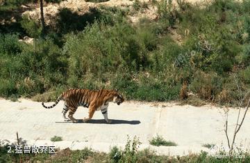 西宁青藏高原野生动物园-猛兽散养区照片