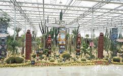 安徽靈璧農業觀光示範園旅遊攻略之沙漠植物展示館