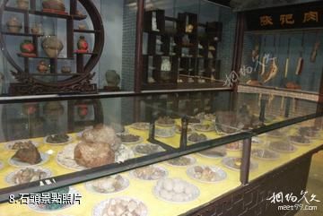 上海游龍石文化科普館-石頭照片