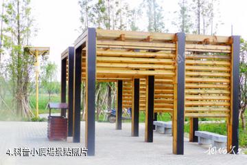 長沙洋湖濕地景區-科普小廣場照片
