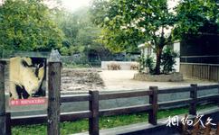 上海动物园旅游攻略之犀牛馆