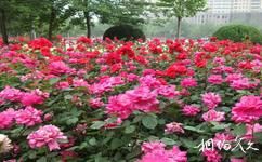 郑州绿城广场旅游攻略之花团锦簇