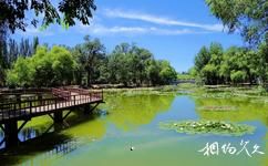 呼和浩特青城公园旅游攻略之荷花池