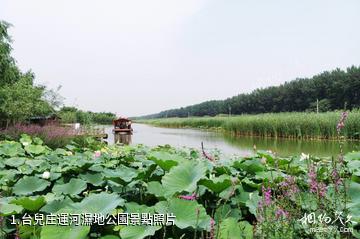 台兒庄運河濕地公園照片