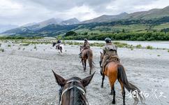紐西蘭格林諾奇小鎮旅遊攻略之騎馬遠足