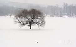 大連牧城驛水庫旅遊攻略之雪景