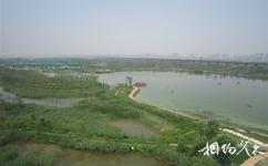 西安浐灞国家湿地公园旅游攻略之俯瞰公园全景