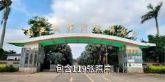 湛江南亚热带植物园驴友相册