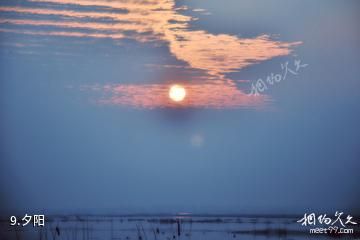 湖北龙感湖国家级自然保护区-夕阳照片
