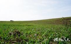 廣西平天山國家森林公園旅遊攻略之高山草甸