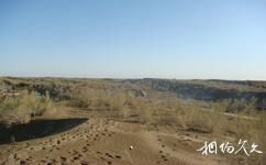 新疆古爾班通古特沙漠旅遊攻略之駝鈴夢坡