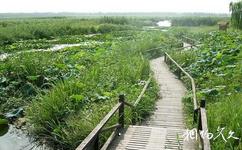 瀋陽仙子湖風景度假區旅遊攻略之釣魚場