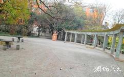 合肥工业大学校园概况之屯溪路校区小公园