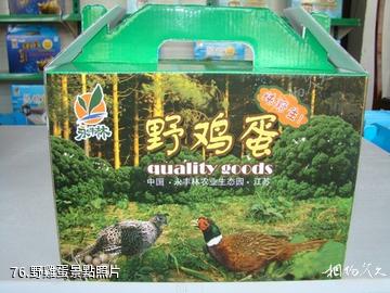 江蘇永豐林農業生態園-野雞蛋照片