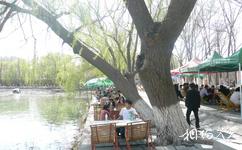 张掖甘泉公园旅游攻略之湖畔茶座