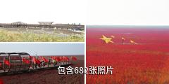 盘锦红海滩风景区驴友相册
