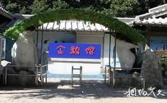 南京紅山森林動物園旅遊攻略之企鵝館