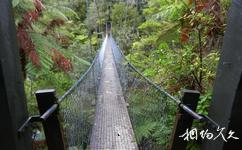 紐西蘭阿貝爾·塔斯曼國家公園旅遊攻略之弔橋