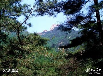 泰安徂徕山国家森林公园-凤凰台照片